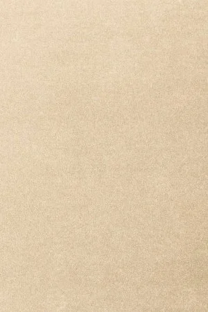 Ковровое покрытие AW Oinone 34 - (5м) в Новокузнецке