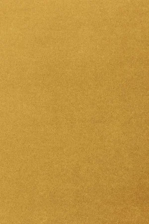 Ковровое покрытие AW Oinone 54 - (5м) в Новокузнецке