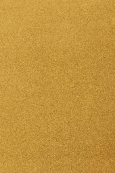 Ковровое покрытие AW Oinone 54 - (5м) в Новокузнецке