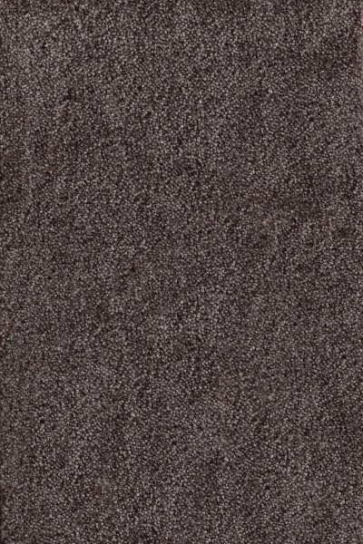 Ковровое покрытие AW Messalina 44 - (4м) в Новокузнецке