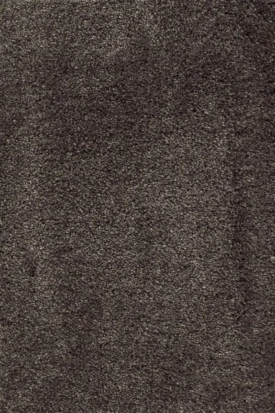 Ковровое покрытие AW Fedone 44 - (5м) в Новокузнецке