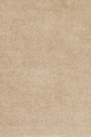 Ковровое покрытие AW Omphale 37 - (4м) в Новокузнецке