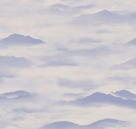 Обои Loymina Clair CLR4, 006 в Новокузнецке