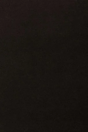 Ковровое покрытие AW Oinone 99 - (4м) в Новокузнецке