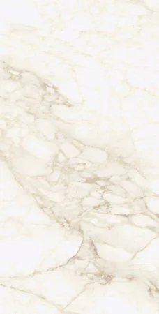 Керамогранит Coliseum Микеланджело Ворм 60х120 (Натуральный и Реттифицированный) в Новокузнецке