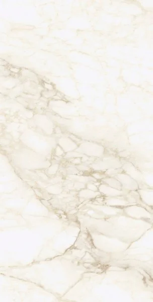 Керамогранит Coliseum Микеланджело Ворм 60х120 (Натуральный и Реттифицированный) в Новокузнецке