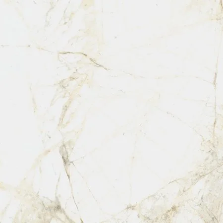 Керамогранит Coliseum Канова Уайт 60х60 (Натуральный и Реттифицированный) в Новокузнецке