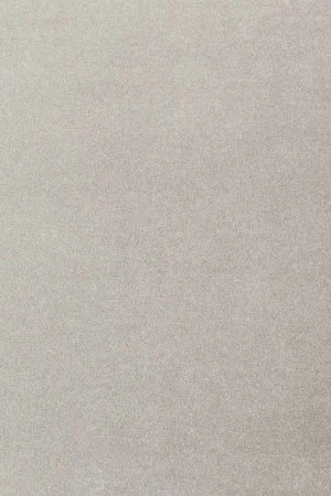 Ковровое покрытие AW Oinone 92 - (4м) в Новокузнецке