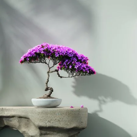 Обои Loymina Lotus LOT1 112 в Новокузнецке