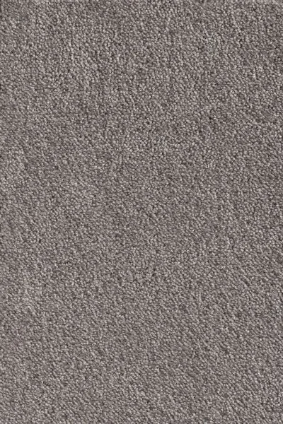 Ковровое покрытие AW Messalina 49 - (5м) в Новокузнецке