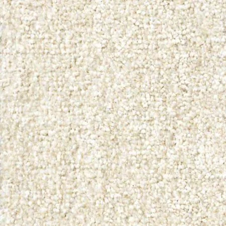 Ковровое покрытие Zartex Парадиз 565 Пломбир - 3 м в Новокузнецке