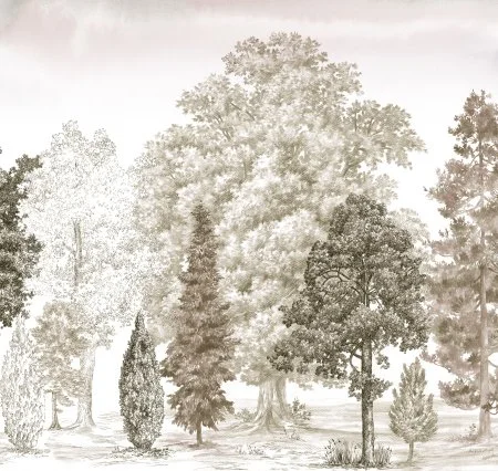 Обои Loymina Пейзаж vol. 2 ART14 012 в Новокузнецке