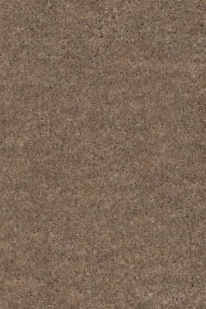 Ковровое покрытие AW Euphoria 36 - (4м) в Новокузнецке