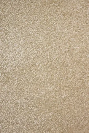 Ковровое покрытие AW Euphoria 33 - (4м) в Новокузнецке