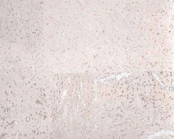 Настенное пробковое покрытие CorkArt PW 386 WS в Новокузнецке