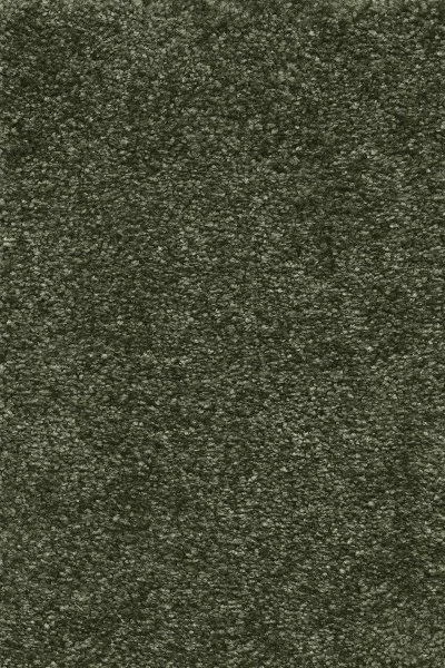 Ковровое покрытие AW Certosa 24 - (4м) в Новокузнецке