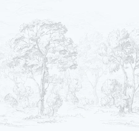 Обои Loymina Etude ETD9, 011 в Новокузнецке