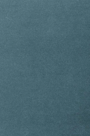 Ковровое покрытие AW Oinone 74 - (4м) в Новокузнецке