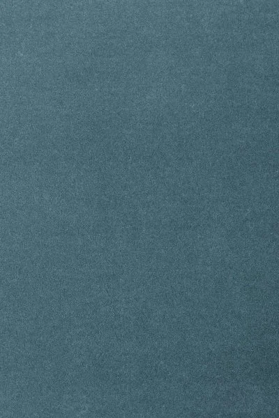 Ковровое покрытие AW Oinone 74 - (5м) в Новокузнецке