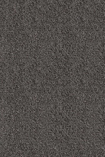 Ковровое покрытие AW Messalina 99 - (5м) в Новокузнецке