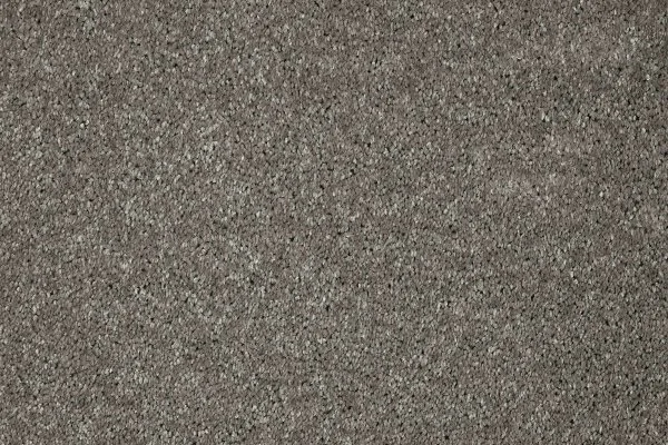 Ковровое покрытие AW Gala 94 - (5м) в Новокузнецке