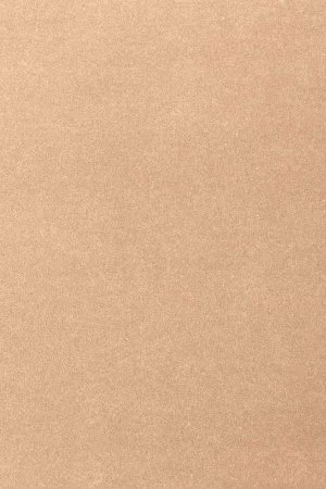 Ковровое покрытие AW Oinone 08 - (5м) в Новокузнецке