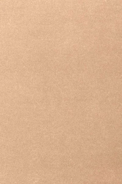 Ковровое покрытие AW Oinone 08 - (4м) в Новокузнецке