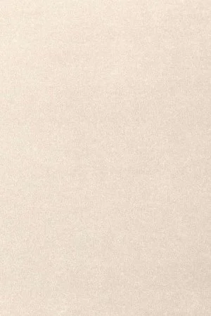 Ковровое покрытие AW Oinone 03 - (4м) в Новокузнецке