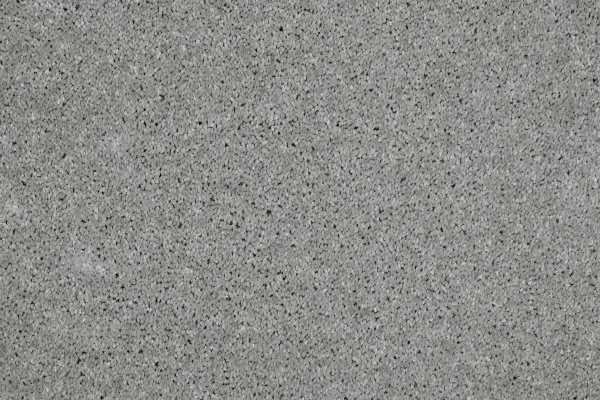 Ковровое покрытие AW Gala 90 - (4м) в Новокузнецке