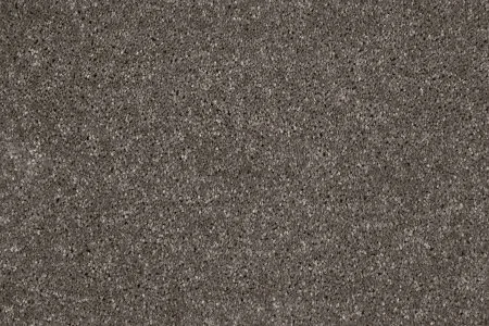 Ковровое покрытие AW Gala 49 - (4м) в Новокузнецке