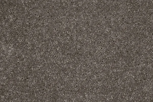 Ковровое покрытие AW Gala 49 - (4м) в Новокузнецке