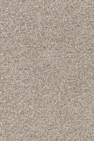 Ковровое покрытие AW Stainguard Harvest 04 - (4м) в Новокузнецке