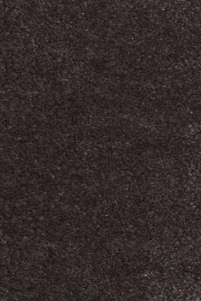 Ковровое покрытие AW Euphoria 43 - (4м) в Новокузнецке