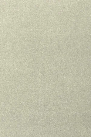 Ковровое покрытие AW Oinone 02 - (5м) в Новокузнецке