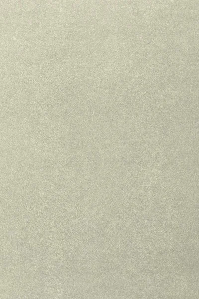 Ковровое покрытие AW Oinone 02 - (4м) в Новокузнецке