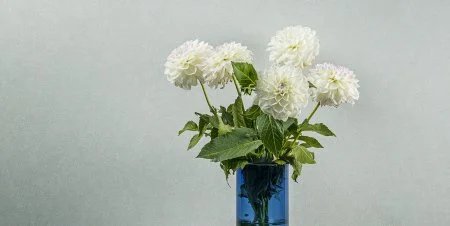 Обои Loymina Shade vol.2 SDR5, 001 в Новокузнецке