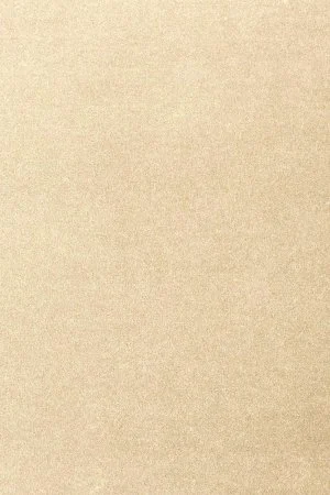 Ковровое покрытие AW Oinone 33 - (4м) в Новокузнецке