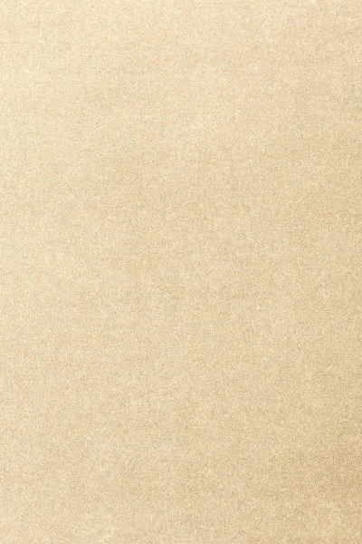 Ковровое покрытие AW Oinone 33 - (4м) в Новокузнецке