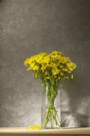 Обои Loymina Golden Library TDG 7, 008 в Новокузнецке