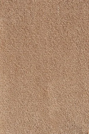 Ковровое покрытие AW Messalina 38 - (5м) в Новокузнецке