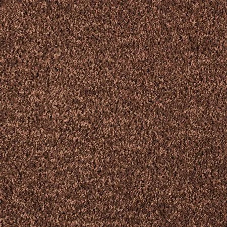 Ковровое покрытие AW Kiama 48 - (5м) в Новокузнецке