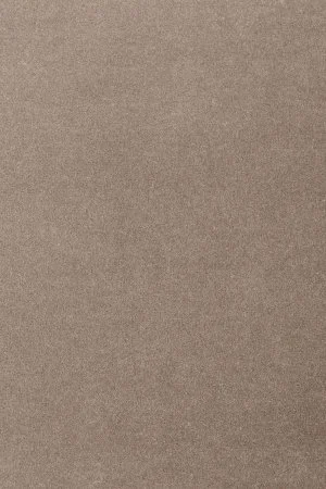 Ковровое покрытие AW Oinone 49 - (4м) в Новокузнецке