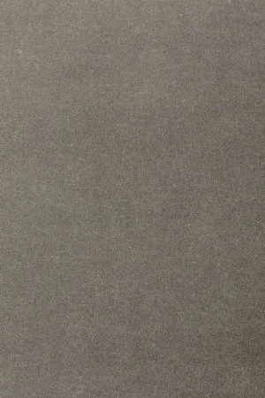 Ковровое покрытие AW Oinone 95 - (4м) в Новокузнецке