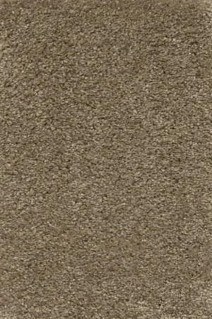 Ковровое покрытие AW Certosa 35 - (5м) в Новокузнецке