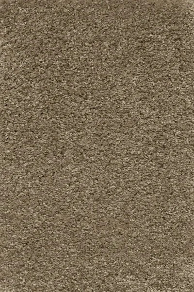 Ковровое покрытие AW Certosa 35 - (5м) в Новокузнецке