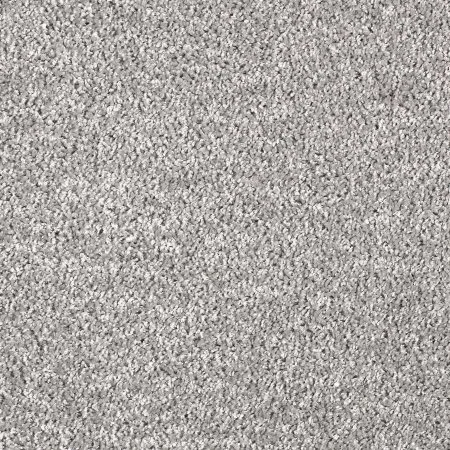 Ковровое покрытие AW Kiama 97 - (5м) в Новокузнецке