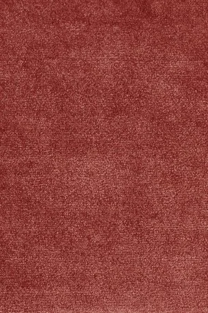 Ковровое покрытие AW Omphale 10 - (5м) в Новокузнецке