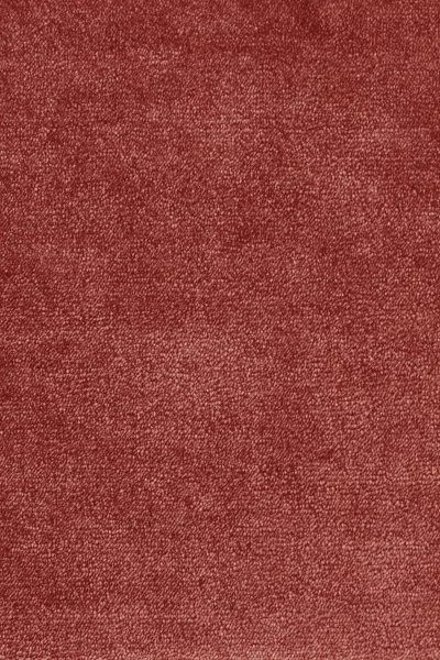 Ковровое покрытие AW Omphale 10 - (5м) в Новокузнецке