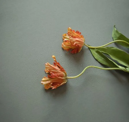 Обои Loymina Russian Classic Ru10, 006 в Новокузнецке