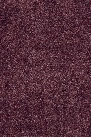 Ковровое покрытие AW Fedone 19 - (5м) в Новокузнецке